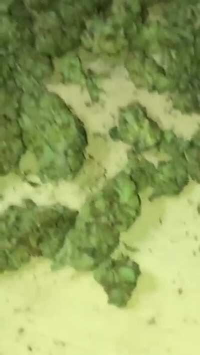 How my dealer lets me know hes active. Lmfao