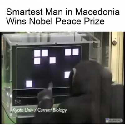 Smartest man in Monkedonia