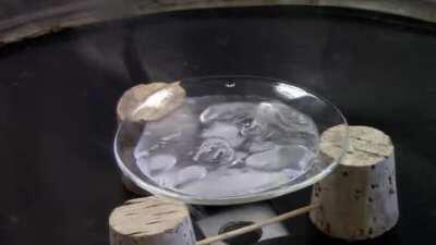 Triple Point of water