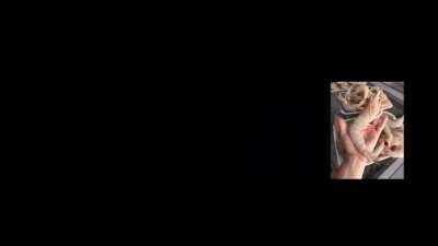 camarõne estás pistolito