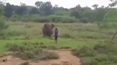Guy tries to punk a bull elephant