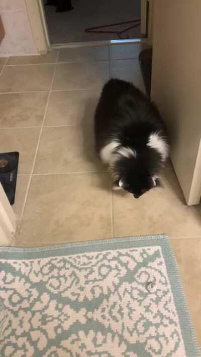 Watch out, those rugs will get ya.