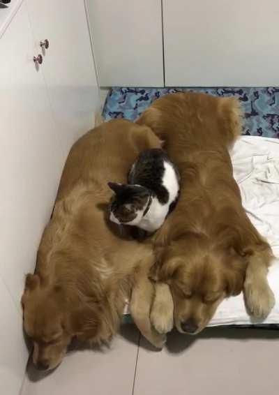 It seems that you need to put everything in its place...