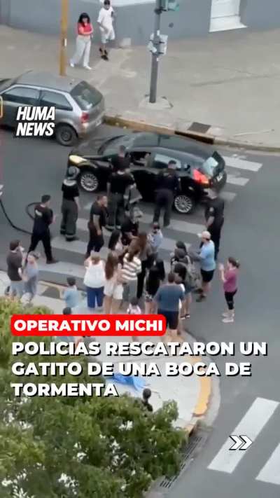 Así bomberos de Santa Fe recataron a un pequeño felino de nombre Banshi que se cayó en una boca de tormenta