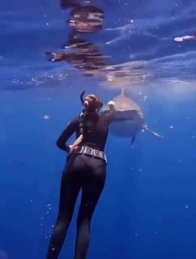 He just wanted a closer look