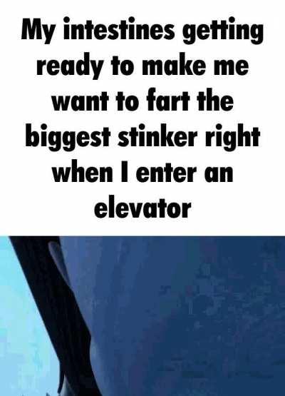 six million years of evolution everybody