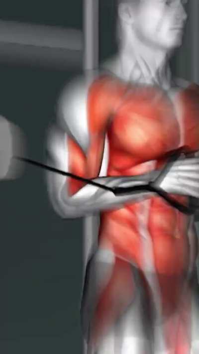 Check out the best exercise to hit your core muscles with cable.
