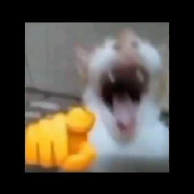 Wuuuuuuuuuuaaaaahhhhhhhhhh 