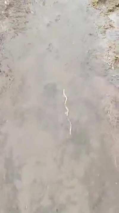 Materials 1/10, Applied Physics 10/10