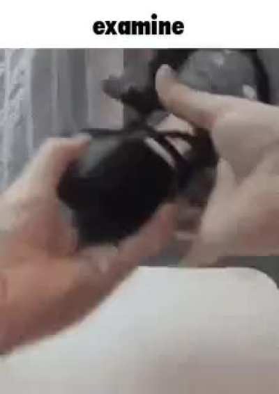 Examine The Saboteur