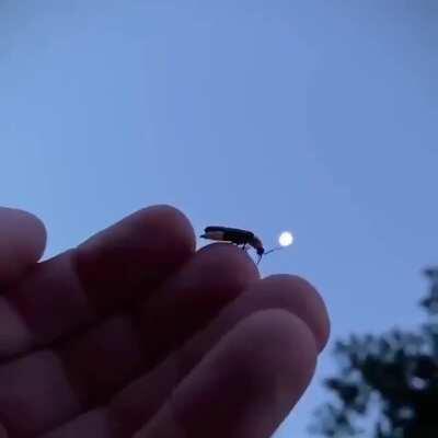 Beautifully taking off