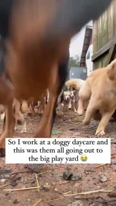 A cinematic masterpiece.