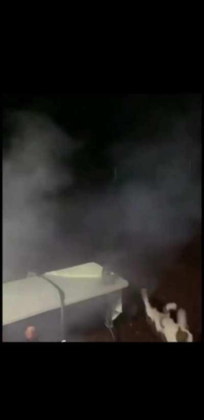 Dog + firework = hilarious combination + the laughing at the end.