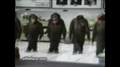 kardeşler iletişim