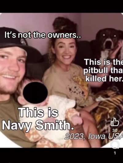 It’s not the owners