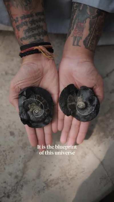 Most educational video in bharat endia science best saar 💪🇮🇳😘😋😍🤑