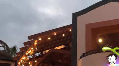 Unknown Ceiling Fans at a Restaurant In Downtown Disney.