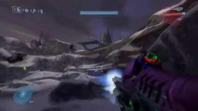 New Scarab defence mechanism