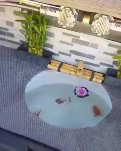 Should I be amazed or concerned?