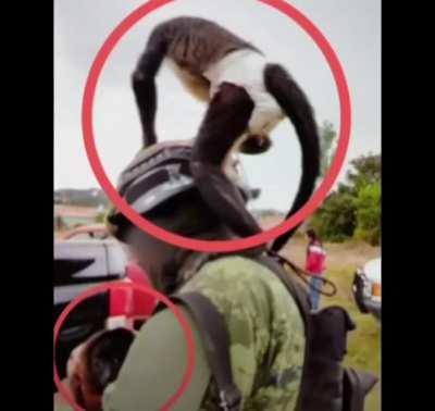 Rest in peace lil bro