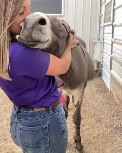 241 on ass here people