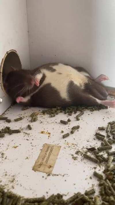 I really don’t know what to title this but enjoy