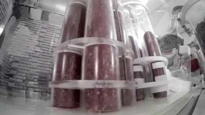 Commercial Pizza Maker - I thought this might belong here