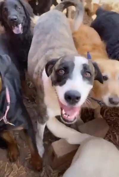 when you&rsquo;re in Minecraft creative and get bored