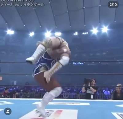 Willow rack attack 🔥