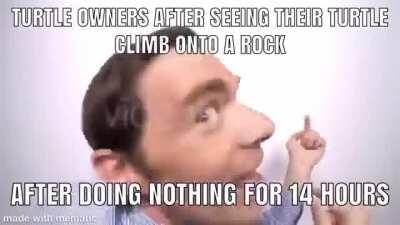 WOW HE REALLY DID THAT