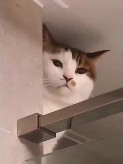 Если у вас паранойя, это не значит, что за вами не следят