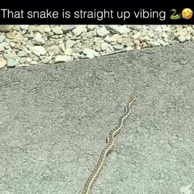 Ain't nothin' gonna break-a my stride