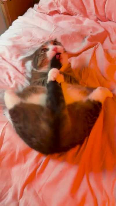 dita doing her thing!