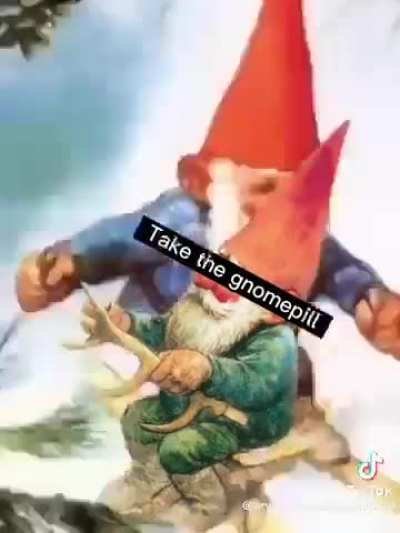 Gnomepill