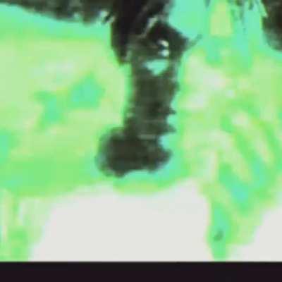 Oxy Deleted verse. I feel like they should of had it on the album it has so much energy and was easily one of the best verses on wod