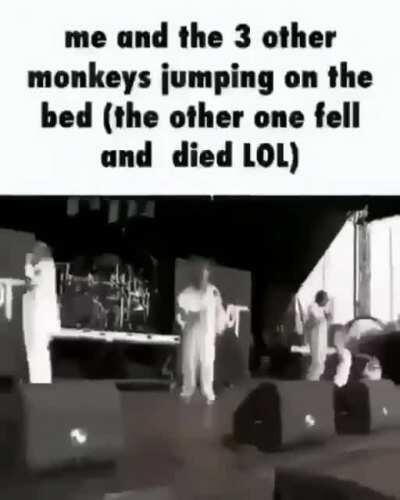 Rest in peace monkey