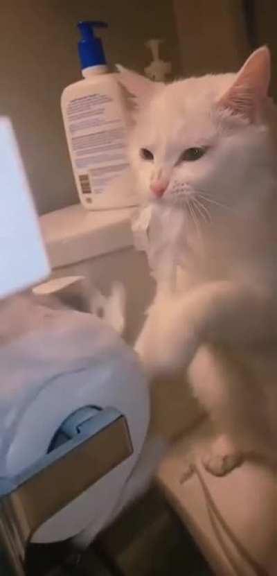 CaT.Exe EnCOuNtERS' FaTaL erROR