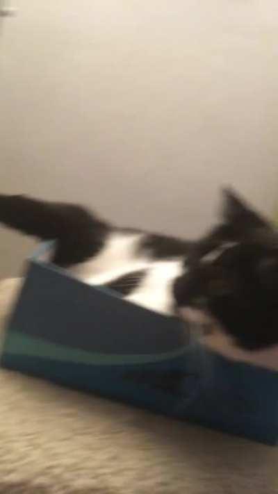 Overflowing liquid meow