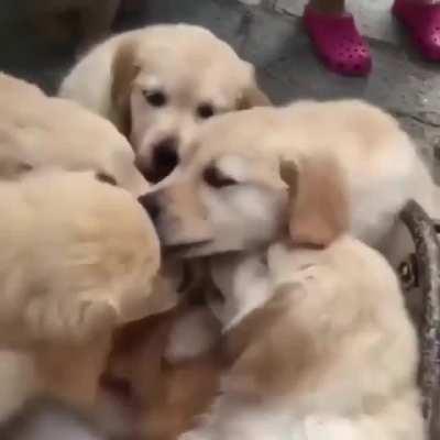 Bugs after I push my code