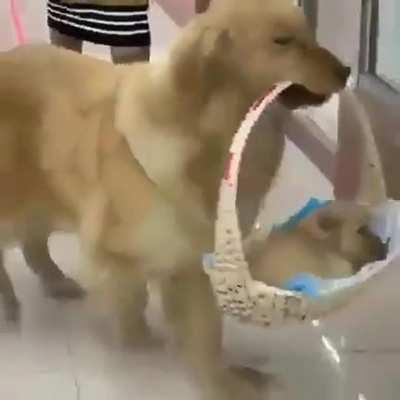 Best parent of the day ❤