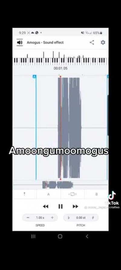 Amogus