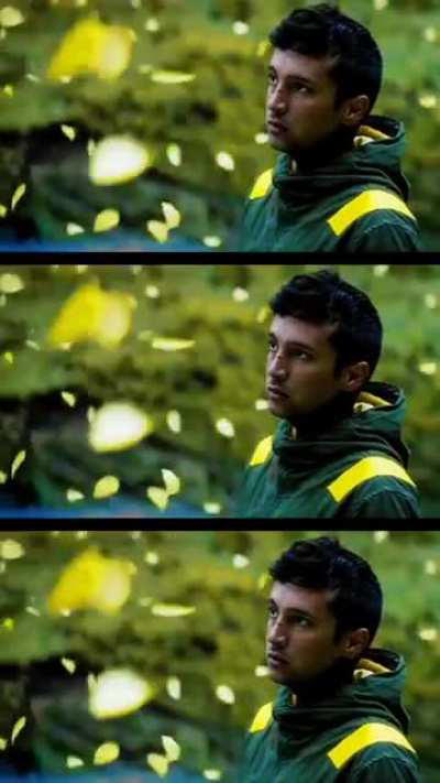 Wallpaper for your mobiles