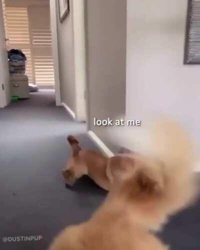 I love you short legs :)