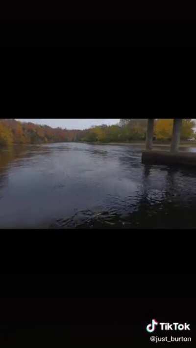 Get this man a Grammy