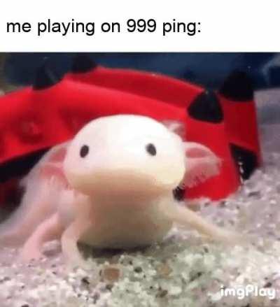 The only thing getting high these days is my ping