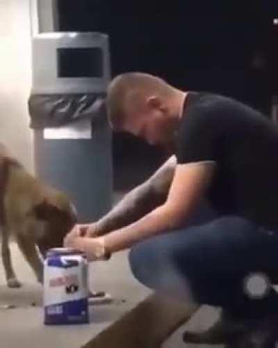 the dog kissing that who bought food for him