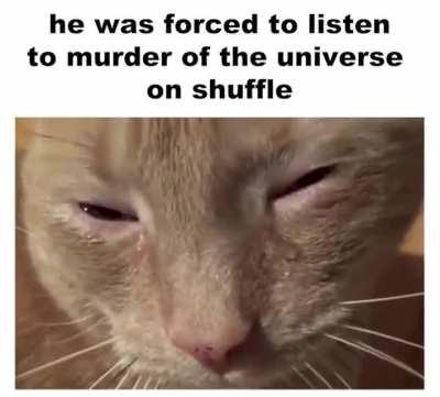 Poor kitty :(