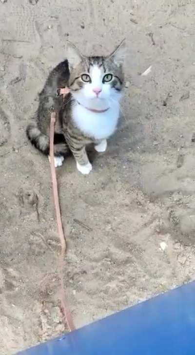 I thought maybe this will put a smile on some people's faces. (: