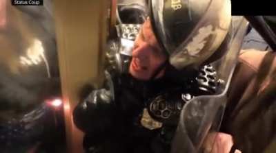 Officer Daniel Hodges responds to 'Legitimate Political Discourse'