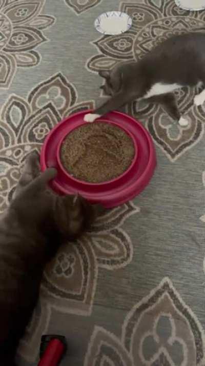 Running a Loop with 2 Competing Processes